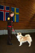 Smelli  myndina til a sj hana strri!