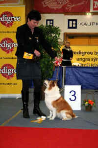 Smelli  myndina til a sj hana strri!